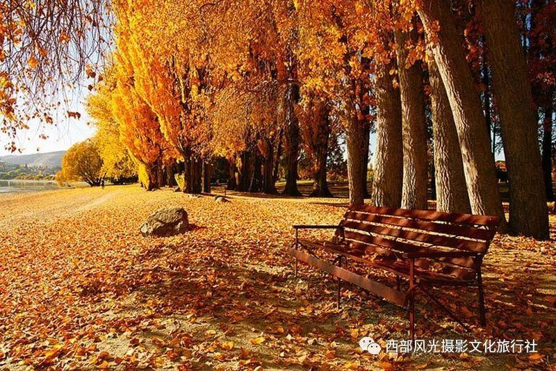 据美国多家主流媒体测算，特朗普在2024年美国总统选举新罕布什尔州共和党初选中胜出